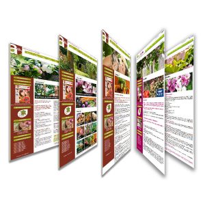 catalogue online des produits amis verts et france rurale