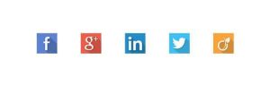Facebook google + linkedIn twitter viadeo