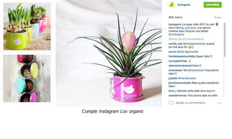 love organic instagram