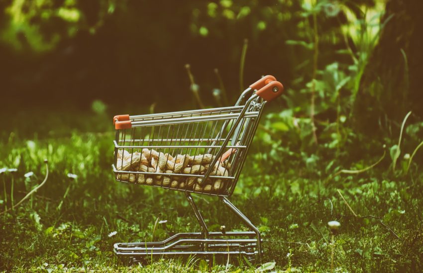 shopping-cart-4297039_1920