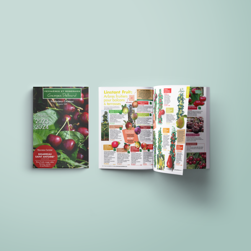 Magazine-Mockup-Presentation-vol9